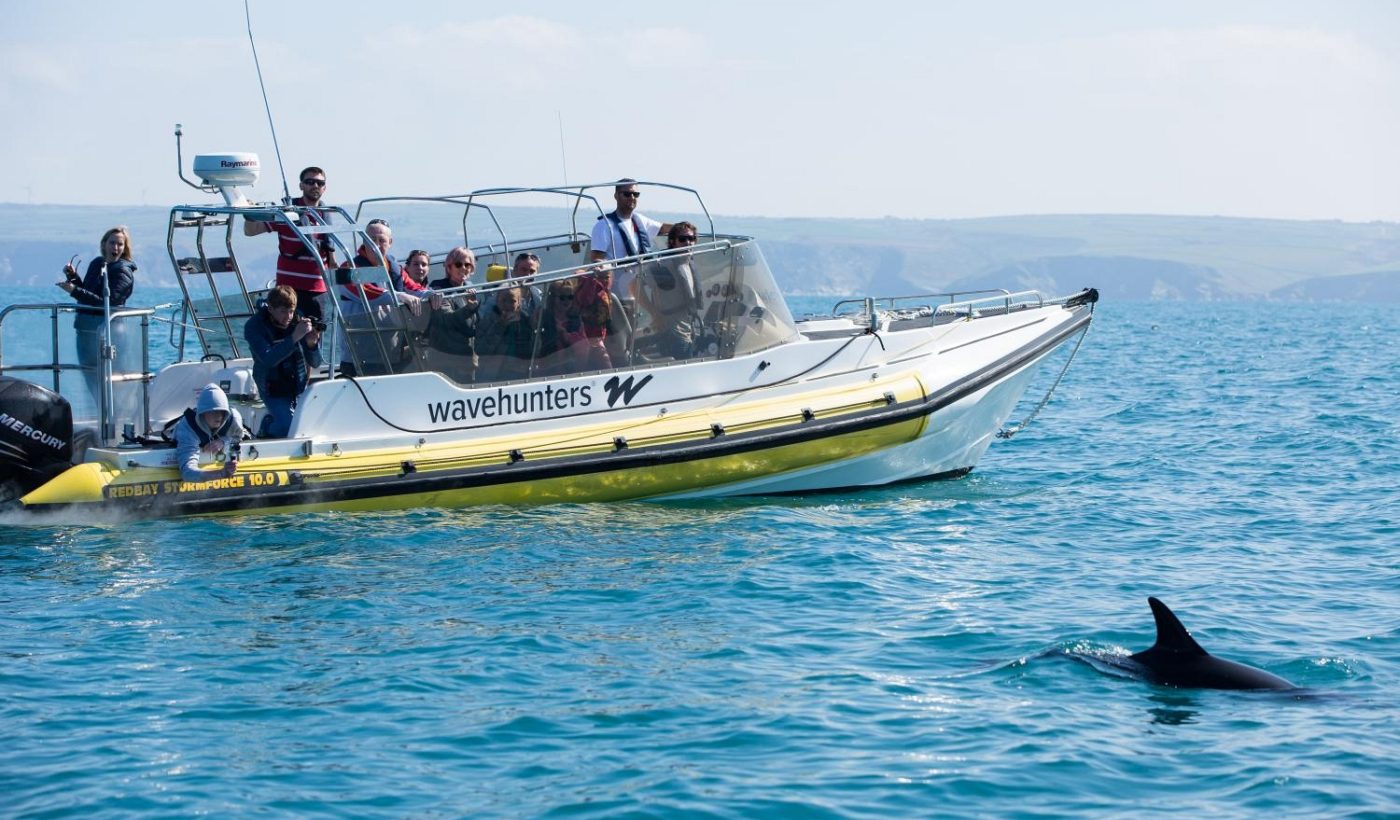 A Wavehunters trip on a sea safari spot a pod of dolphins out off the Cornish coast. Wavehunters run a range of coastal activities with something to suit everyone. 
